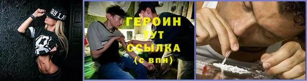 гидра Алексин