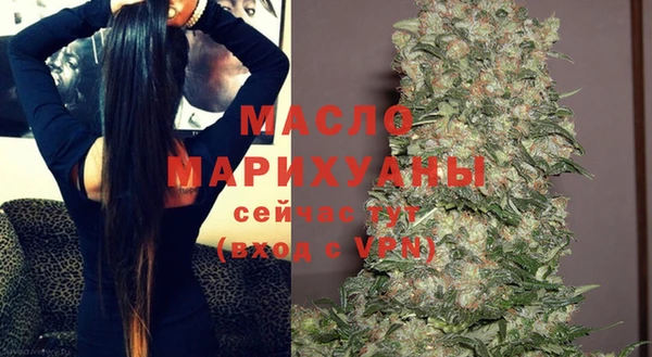 индика Пересвет