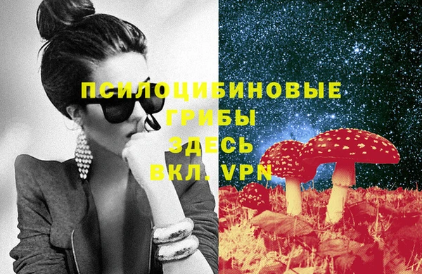 гидра Алексин
