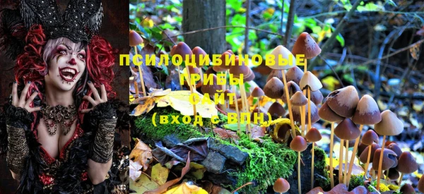 прущая мука Алзамай
