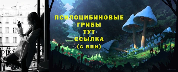 тгк Алексеевка