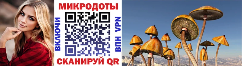 Псилоцибиновые грибы мухоморы  где можно купить наркотик  Харовск 